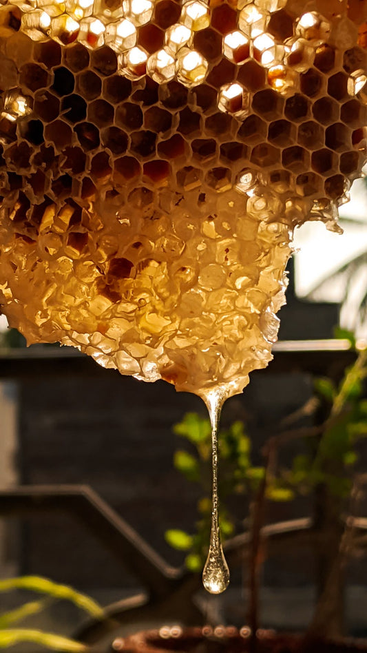 Shelf Life of Honey